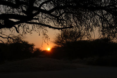 Silhouette trees against sky during sunset