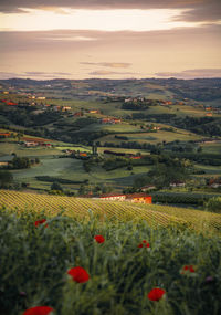 Langhe during the summer 