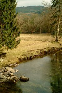 Scenic view of river flowing through rocks