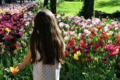 Rear view of woman standing by flowering plants
