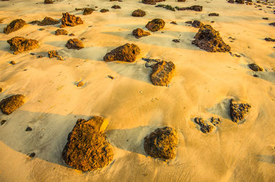 High angle view of rocks on sand