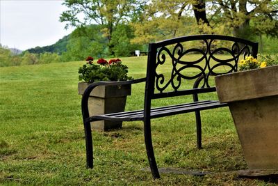 Empty bench in park