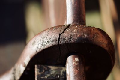 Close-up of  old bench