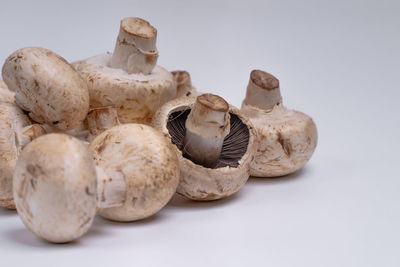 Close-up of mushrooms against white background