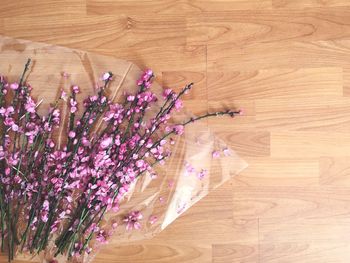 High angle view of flowering plants on hardwood floor