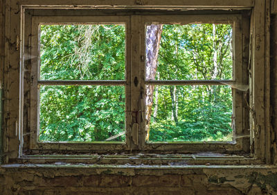 Close-up of window