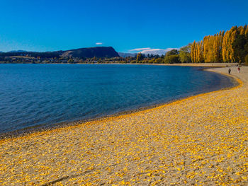 Scenic view of sea against clear blue sky