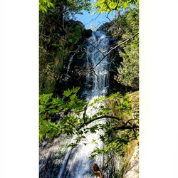 Scenic view of waterfall in forest