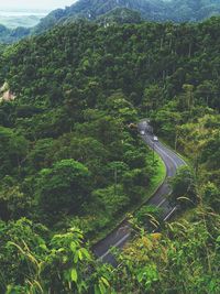 High angle view of road amidst trees