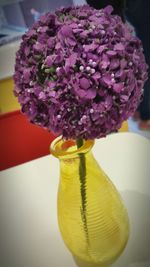 Close-up of yellow flowers in vase
