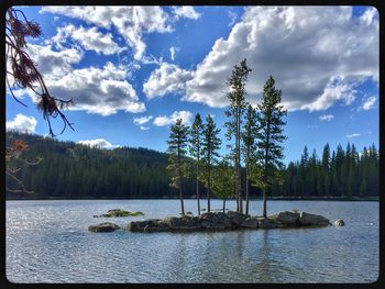 Scenic view of river in forest against blue sky