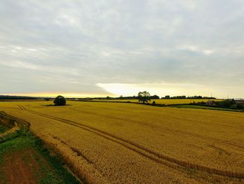 High angle view of crops on field against cloudy sky