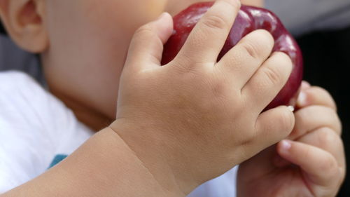 High angle midsection of baby holding apple