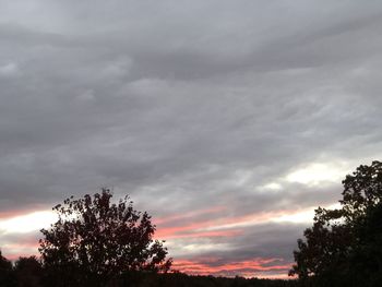 Low angle view of silhouette tree against sky during sunset