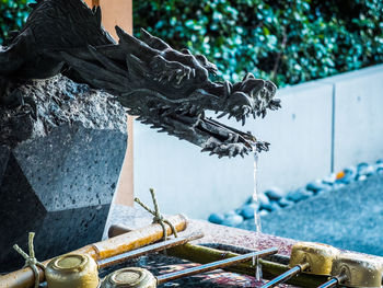 Close-up of statue against fountain
