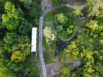 High angle view of road amidst trees