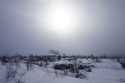 Scenic view of frozen field against clear sky