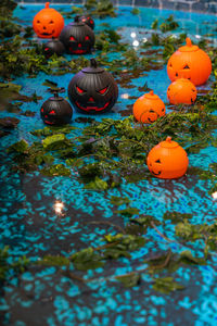 High angle view of pumpkin floating on water