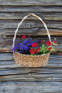 Close-up of potted plants in basket