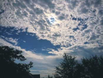 Low angle view of silhouette trees against sky