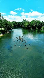 Ducks swimming in lake against sky