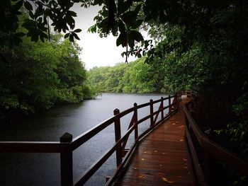 Footbridge over river amidst trees