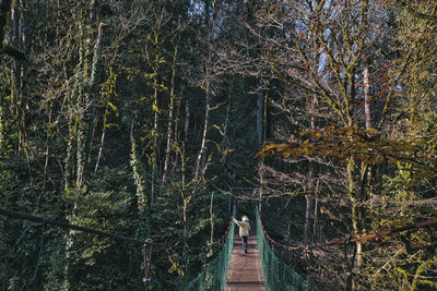 Footpath amidst trees in forest