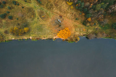 High angle view of leaf on land