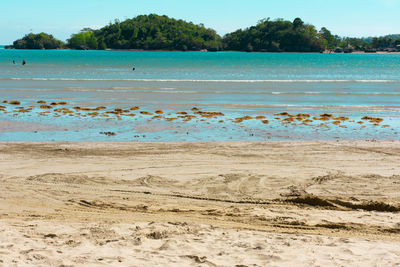 Scenic view of beach against sky