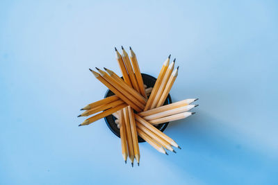 Ordinary graphite pencils in black net pencil cup top view on blue background