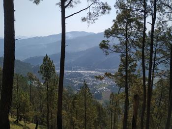 Panoramic view of trees and mountains against sky