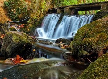 Scenic view of waterfall in forest