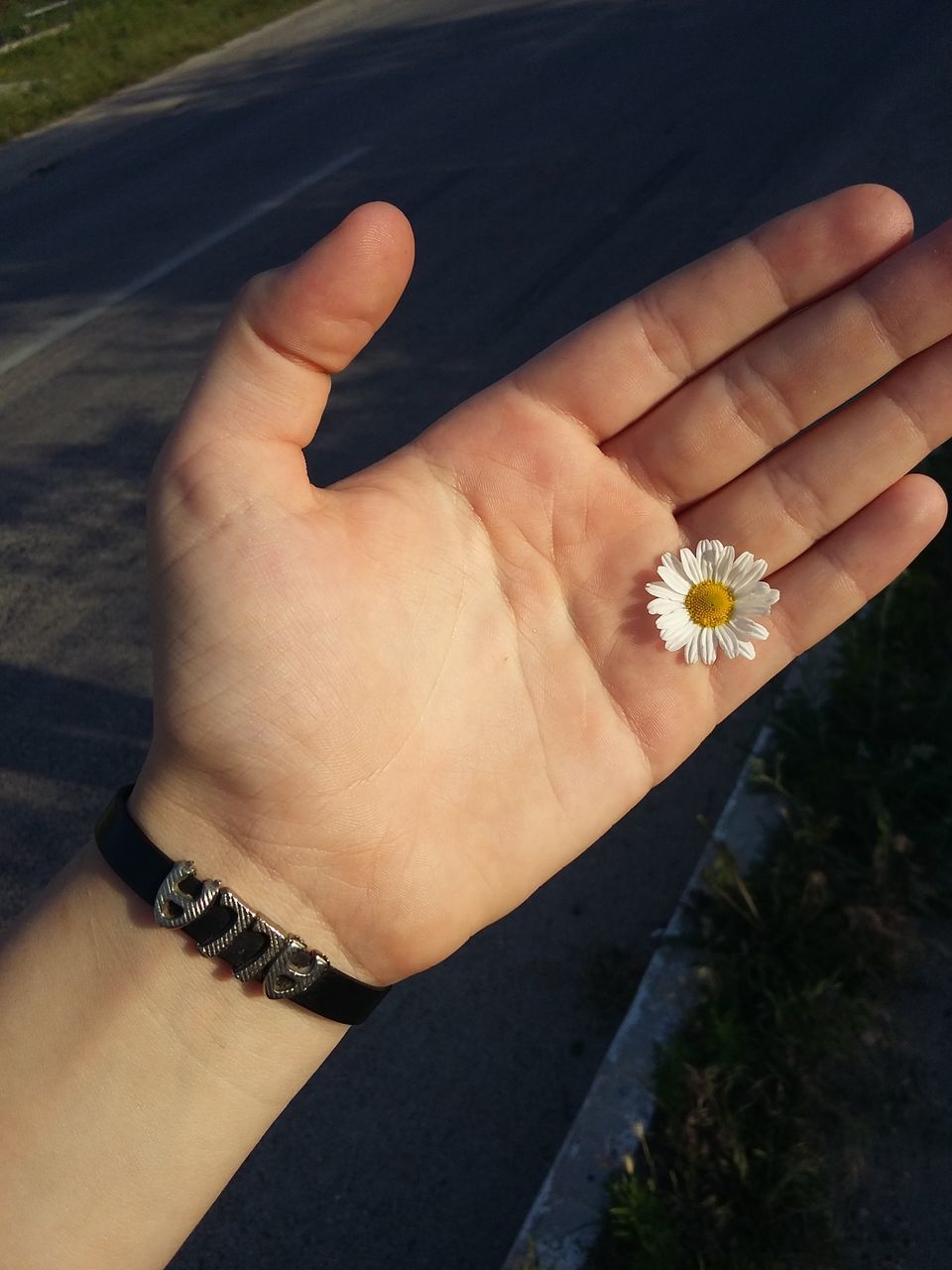 CROPPED IMAGE OF WOMAN HOLDING LEAF