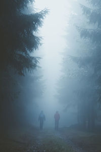 Rear view of men walking on landscape in foggy weather