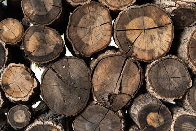 Full frame shot of logs in forest