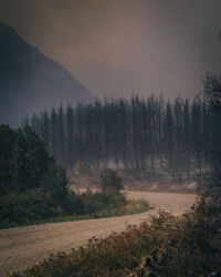 Scenic view of landscape against sky during foggy weather