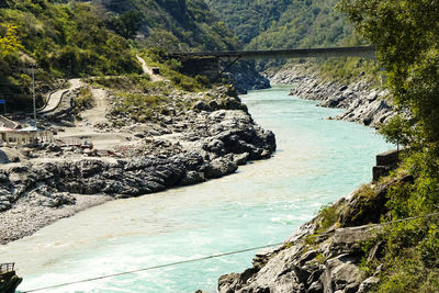 High angle view of river amidst trees