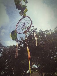 Low angle view of tree against sky