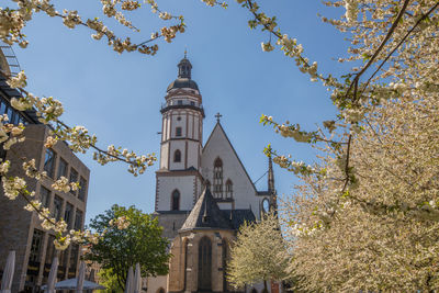 Low angle view of trees and buildings against sky