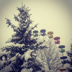 Christmas tree in snow