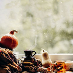 Close-up of bird perching on table