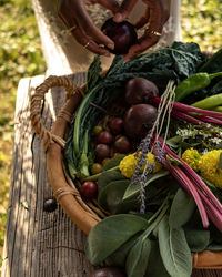 Close-up of vegetables in basket