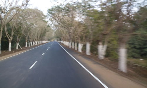 Road passing through trees