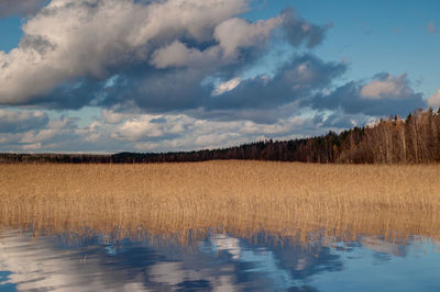 Panoramic view of field against sky