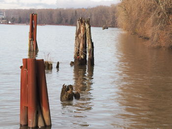 Wooden posts in lake