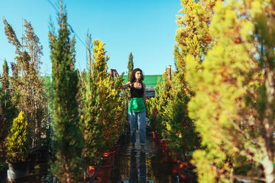 Woman gardener checking out the cypress trees in the plant nursery