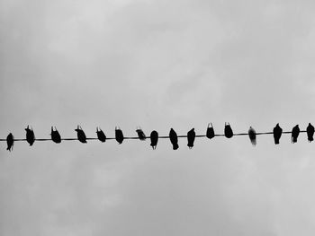 Low angle view of birds perching on cable