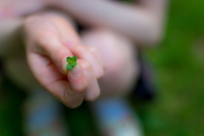 Cropped image of person holding leaves