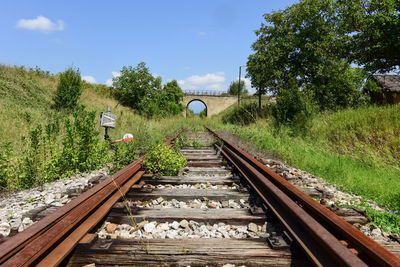 View of railroad tracks along trees