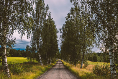 Empty road amidst trees against sky